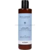Artego Rain Dance Color, szampon do włosów farbowanych 250ml