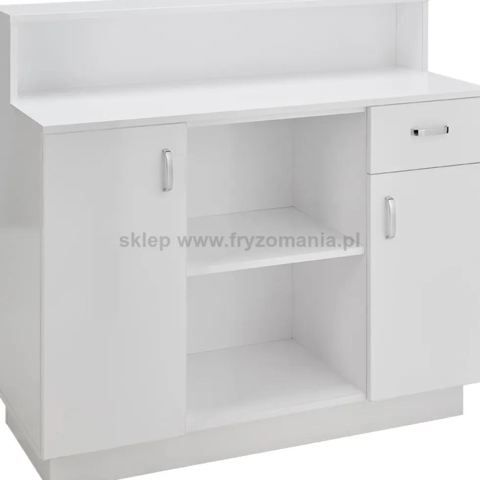 Ayala Zoe Recepcja fryzjerska, płyta połysk