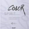 Dusy Professional Color Spirit Paleta kolorów
