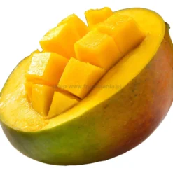 Dusy Professional Mango Szampon uniwersalny do włosów 5000ml