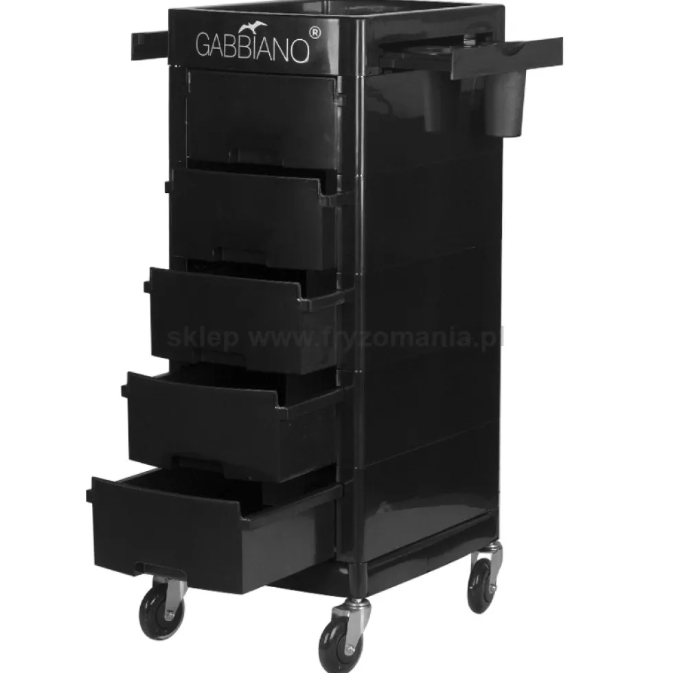 Gabbiano FT65 A black Pomocnik fryzjerski dostępny w 48h