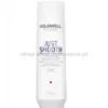 Goldwell Dualsenses Just Smooth szampon ujarzmiający włosy niezdyscyplinowane 250ml