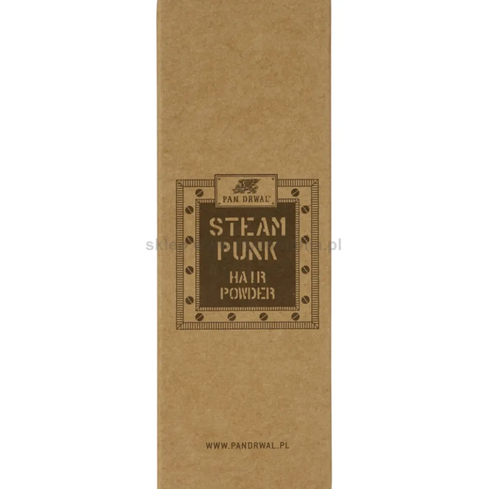 Pan Drwal Steam Punk Puder do stylizacji włosów dla mężczyzn 20g