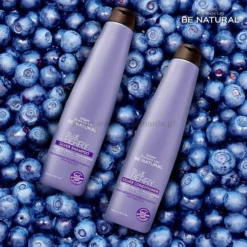 Placenta Life Blue Berry Silver - zestaw do włosów blond szampon i odżywka 2x350ml
