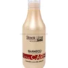 Stapiz Sleek Line Total Care - zestaw do włosów suchych i uwrażliwionych szampon i odżywka 2x300ml